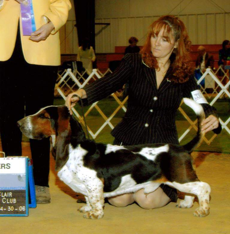 "CJ" a Cargo son was an AKC Champion (shown for Lisa Spaulding).