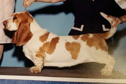 “Deidra” one of our foundation girls.